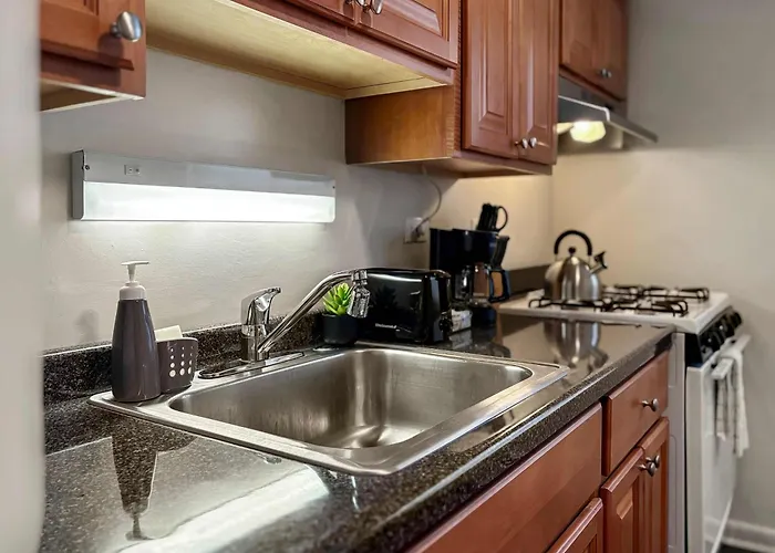 Apartment Chic Retreat 1br Unit - Church A2 Skokie